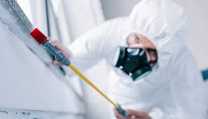 Best Residential Pest Control  in Keasbey, NJ